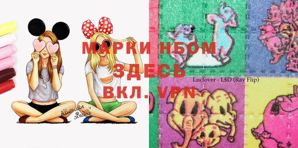 Альфа ПВП Аркадак