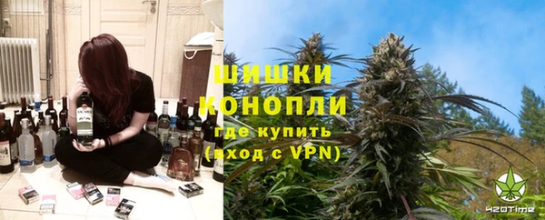 индика Абинск