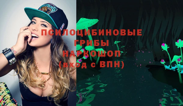 индика Абинск