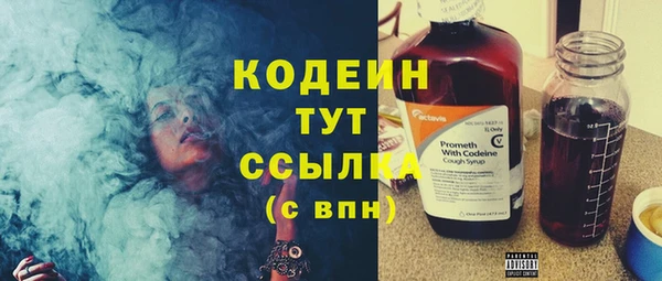 твердый Абаза