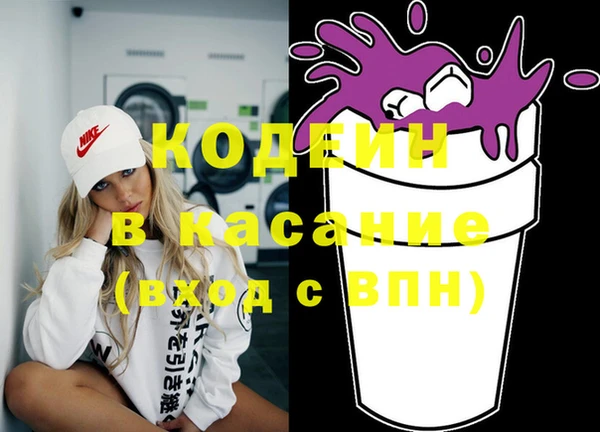 индика Абинск