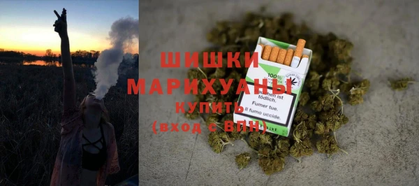 Альфа ПВП Аркадак
